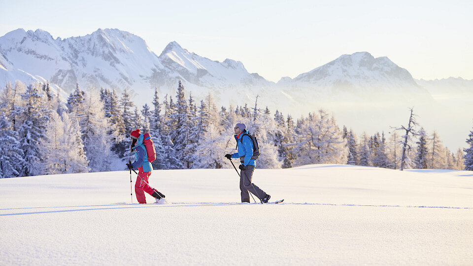 Winterwandern & Schneeschuhwandern